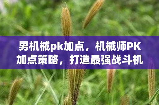 男机械pk加点,机械师PK加点策略,打造最强战斗机器 男机械pk加点,机械师PK加点策略,打造最强战斗机器