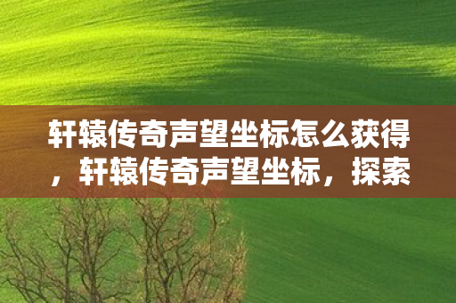 轩辕传奇声望坐标怎么获得,轩辕传奇声望坐标,探索荣耀之旅的指引 轩辕传奇声望坐标怎么获得,轩辕传奇声望坐标,探索荣耀之旅的指引