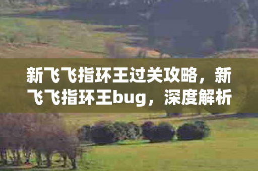 新飞飞指环王过关攻略，新飞飞指环王bug，深度解析与应对攻略