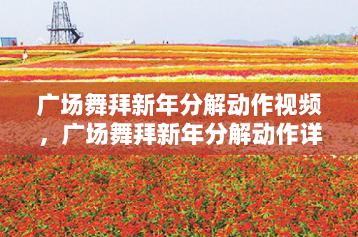广场舞拜新年分解动作视频,广场舞拜新年分解动作详解 广场舞拜新年分解动作视频,广场舞拜新年分解动作详解
