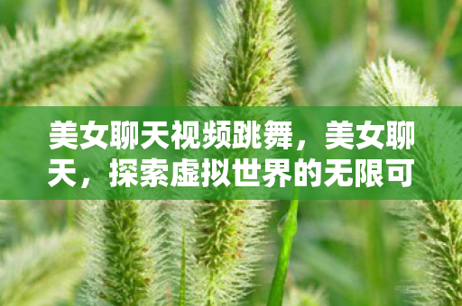 美女聊天视频跳舞，美女聊天，探索虚拟世界的无限可能