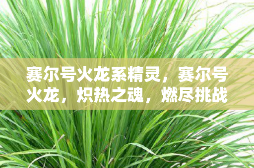赛尔号火龙系精灵,赛尔号火龙,炽热之魂,燃尽挑战 赛尔号火龙系精灵,赛尔号火龙,炽热之魂,燃尽挑战