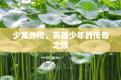 少龙外传,英雄少年的传奇之旅 少龙外传,英雄少年的传奇之旅
