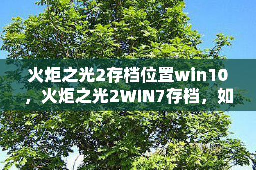 火炬之光2存档位置win10,火炬之光2WIN7存档,如何备份与恢复 火炬之光2存档位置win10,火炬之光2WIN7存档,如何备份与恢复