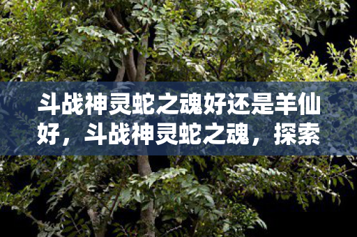 斗战神灵蛇之魂好还是羊仙好,斗战神灵蛇之魂,探索古老传说中的神秘力量 斗战神灵蛇之魂好还是羊仙好,斗战神灵蛇之魂,探索古老传说中的神秘力量