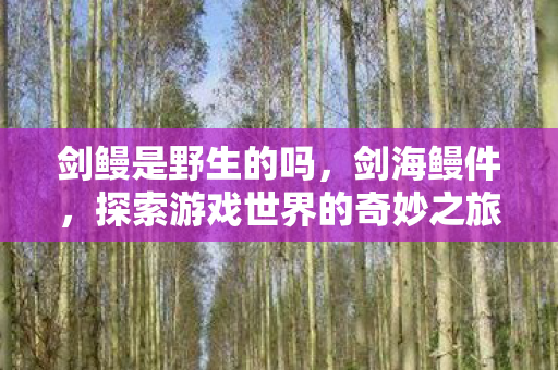 剑鳗是野生的吗,剑海鳗件,探索游戏世界的奇妙之旅 剑鳗是野生的吗,剑海鳗件,探索游戏世界的奇妙之旅