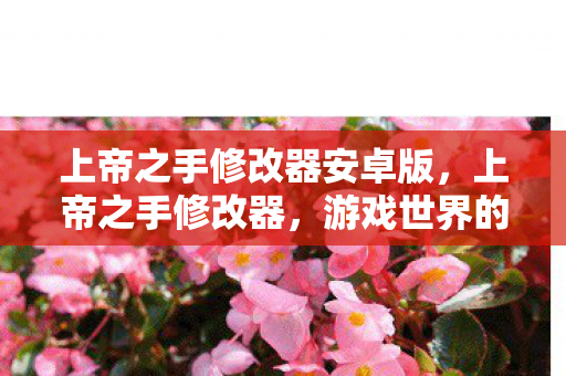 上帝之手修改器安卓版,上帝之手修改器,游戏世界的魔法画笔 上帝之手修改器安卓版,上帝之手修改器,游戏世界的魔法画笔