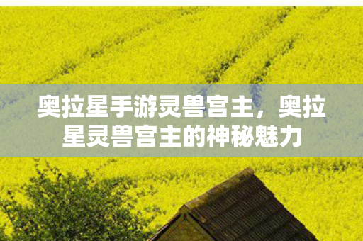 奥拉星手游灵兽宫主,奥拉星灵兽宫主的神秘魅力 奥拉星手游灵兽宫主,奥拉星灵兽宫主的神秘魅力