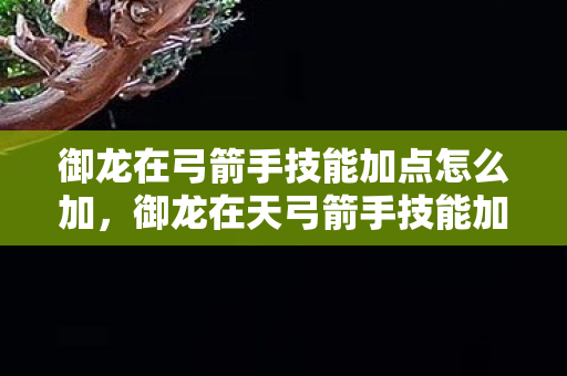 御龙在弓箭手技能加点怎么加,御龙在天弓箭手技能加点攻略 御龙在弓箭手技能加点怎么加,御龙在天弓箭手技能加点攻略