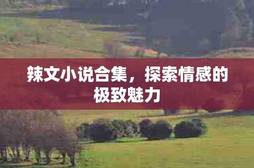 辣文小说合集,探索情感的极致魅力 辣文小说合集,探索情感的极致魅力
