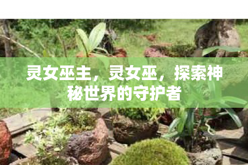 灵女巫主,灵女巫,探索神秘世界的守护者 灵女巫主,灵女巫,探索神秘世界的守护者