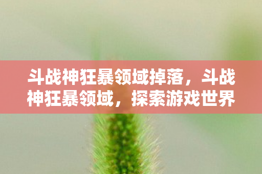 斗战神狂暴领域掉落,斗战神狂暴领域,探索游戏世界的无限可能 斗战神狂暴领域掉落,斗战神狂暴领域,探索游戏世界的无限可能