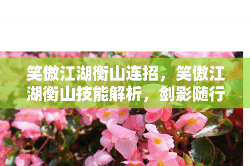 笑傲江湖衡山连招,笑傲江湖衡山技能解析,剑影随行的奥秘 笑傲江湖衡山连招,笑傲江湖衡山技能解析,剑影随行的奥秘