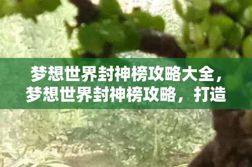 梦想世界封神榜攻略大全，梦想世界封神榜攻略，打造你的封神之路