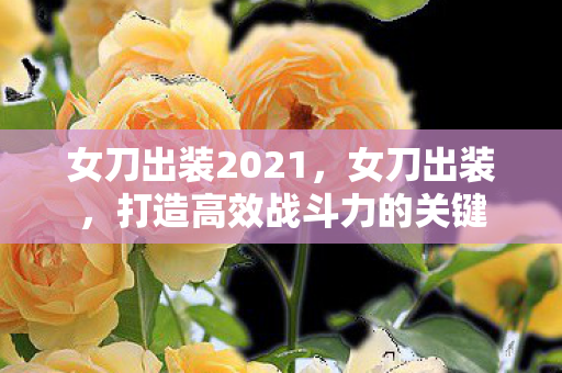 女刀出装2021,女刀出装,打造高效战斗力的关键 女刀出装2021,女刀出装,打造高效战斗力的关键