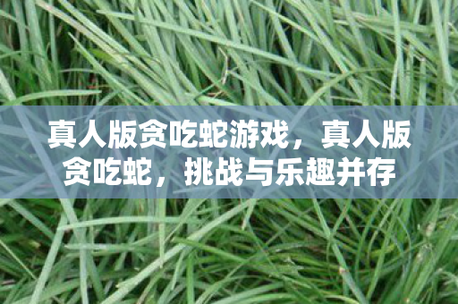 真人版贪吃蛇游戏,真人版贪吃蛇,挑战与乐趣并存 真人版贪吃蛇游戏,真人版贪吃蛇,挑战与乐趣并存