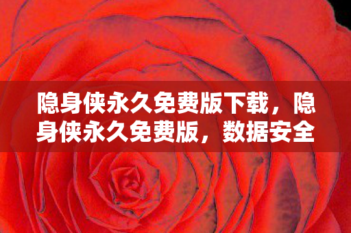 隐身侠永久免费版下载,隐身侠永久免费版,数据安全与隐私保护的守护者 隐身侠永久免费版下载,隐身侠永久免费版,数据安全与隐私保护的守护者