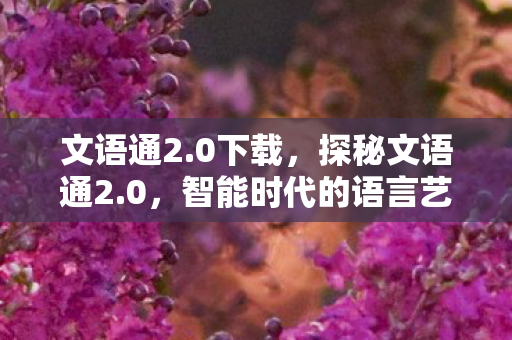 文语通2.0下载,探秘文语通2.0,智能时代的语言艺术新篇章 文语通2.0下载,探秘文语通2.0,智能时代的语言艺术新篇章