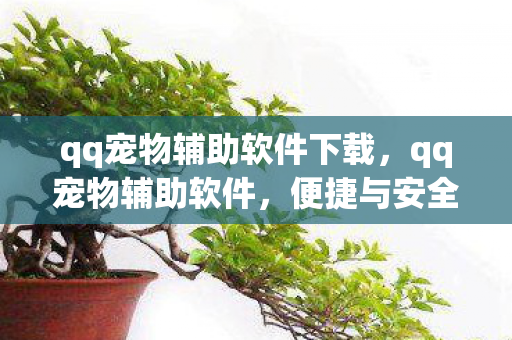 qq宠物辅助软件下载，qq宠物辅助软件，便捷与安全的平衡点