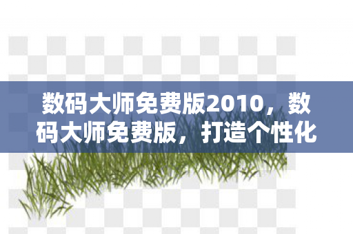 数码大师免费版2010，数码大师免费版，打造个性化视频编辑新体验