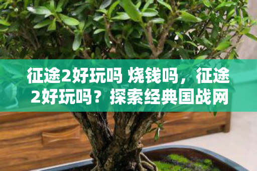 征途2好玩吗 烧钱吗,征途2好玩吗?探索经典国战网游的无限魅力 征途2好玩吗 烧钱吗,征途2好玩吗?探索经典国战网游的无限魅力