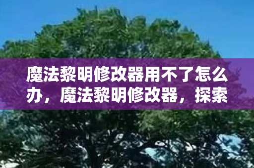 魔法黎明修改器用不了怎么办,魔法黎明修改器,探索游戏世界的无限可能 魔法黎明修改器用不了怎么办,魔法黎明修改器,探索游戏世界的无限可能