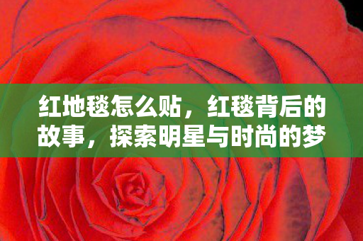 红地毯怎么贴,红毯背后的故事,探索明星与时尚的梦幻之旅 红地毯怎么贴,红毯背后的故事,探索明星与时尚的梦幻之旅