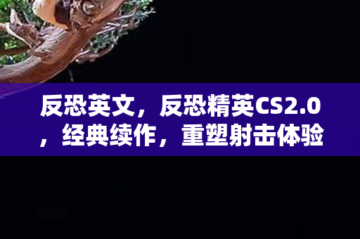 反恐英文，反恐精英CS2.0，经典续作，重塑射击体验