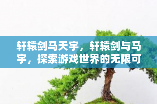 轩辕剑马天宇,轩辕剑与马宇,探索游戏世界的无限可能 轩辕剑马天宇,轩辕剑与马宇,探索游戏世界的无限可能