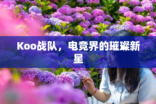 Koo战队,电竞界的璀璨新星 Koo战队,电竞界的璀璨新星