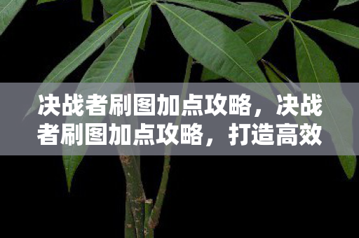 决战者刷图加点攻略,决战者刷图加点攻略,打造高效战斗体验 决战者刷图加点攻略,决战者刷图加点攻略,打造高效战斗体验