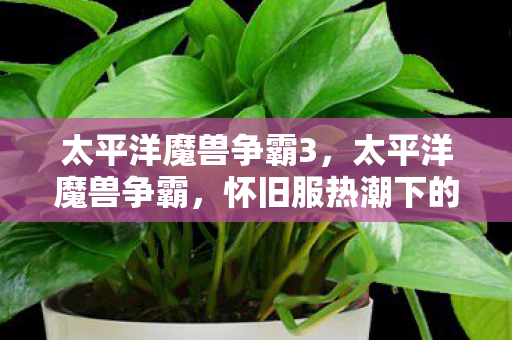 太平洋魔兽争霸3,太平洋魔兽争霸,怀旧服热潮下的经典重燃 太平洋魔兽争霸3,太平洋魔兽争霸,怀旧服热潮下的经典重燃