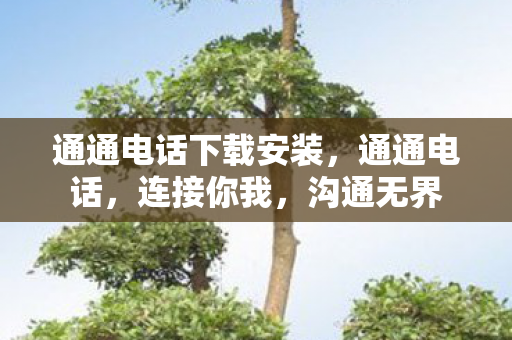通通电话下载安装,通通电话,连接你我,沟通无界 通通电话下载安装,通通电话,连接你我,沟通无界
