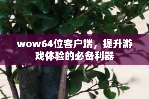 wow64位客户端,提升游戏体验的必备利器 wow64位客户端,提升游戏体验的必备利器