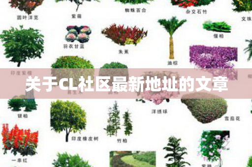关于CL社区最新地址的文章 关于CL社区最新地址的文章