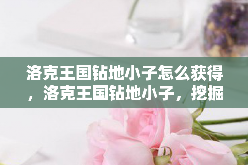 洛克王国钻地小子怎么获得，洛克王国钻地小子，挖掘王国的奇妙探险