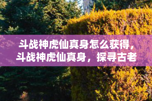 斗战神虎仙真身怎么获得,斗战神虎仙真身,探寻古老传说中的神秘力量 斗战神虎仙真身怎么获得,斗战神虎仙真身,探寻古老传说中的神秘力量