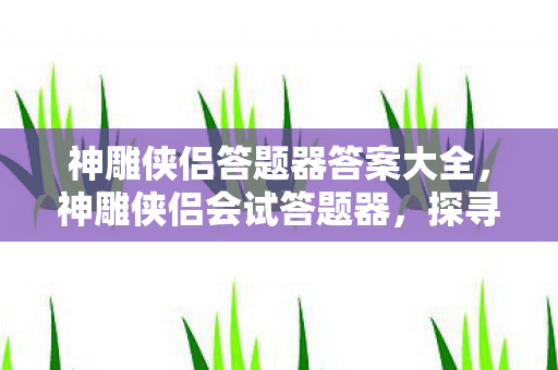 神雕侠侣答题器答案大全，神雕侠侣会试答题器，探寻武侠世界的智慧与勇气