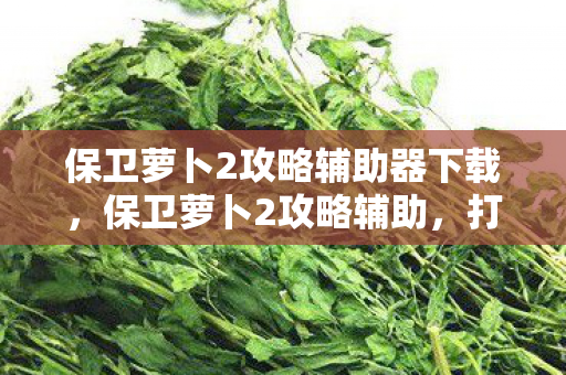 保卫萝卜2攻略辅助器下载,保卫萝卜2攻略辅助,打造完美防御,解锁无限可能 保卫萝卜2攻略辅助器下载,保卫萝卜2攻略辅助,打造完美防御,解锁无限可能