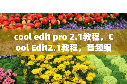 cool edit pro 2.1教程,Cool Edit2.1教程,音频编辑的必备技能 cool edit pro 2.1教程,Cool Edit2.1教程,音频编辑的必备技能