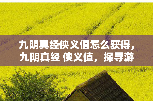 九阴真经侠义值怎么获得,九阴真经 侠义值,探寻游戏中的道德之光 九阴真经侠义值怎么获得,九阴真经 侠义值,探寻游戏中的道德之光