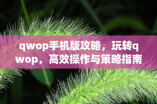 qwop手机版攻略,玩转qwop,高效操作与策略指南 qwop手机版攻略,玩转qwop,高效操作与策略指南