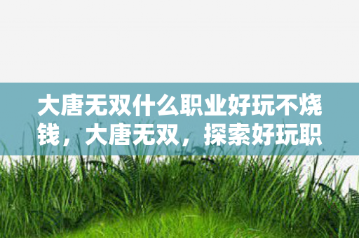 大唐无双什么职业好玩不烧钱，大唐无双，探索好玩职业，尽享游戏乐趣