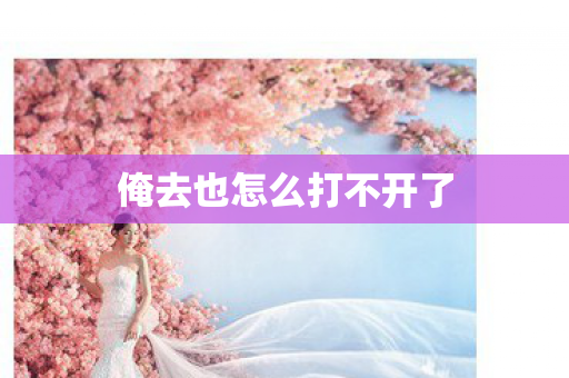 俺去也怎么打不开了 俺去也怎么打不开了