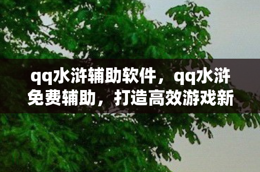 qq水浒辅助软件,qq水浒免费辅助,打造高效游戏新体验 qq水浒辅助软件,qq水浒免费辅助,打造高效游戏新体验