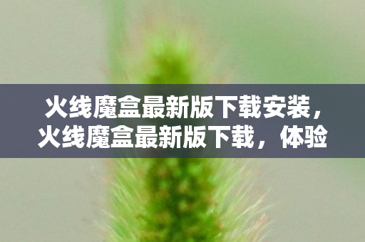 火线魔盒最新版下载安装,火线魔盒最新版下载,体验最新游戏工具,畅享游戏乐趣 火线魔盒最新版下载安装,火线魔盒最新版下载,体验最新游戏工具,畅享游戏乐趣