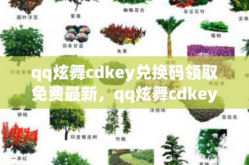 qq炫舞cdkey兑换码领取免费最新,qq炫舞cdkey,解锁无限可能的神秘钥匙 qq炫舞cdkey兑换码领取免费最新,qq炫舞cdkey,解锁无限可能的神秘钥匙