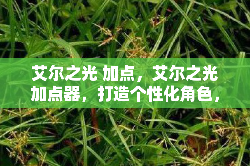 艾尔之光 加点,艾尔之光加点器,打造个性化角色,提升游戏体验 艾尔之光 加点,艾尔之光加点器,打造个性化角色,提升游戏体验