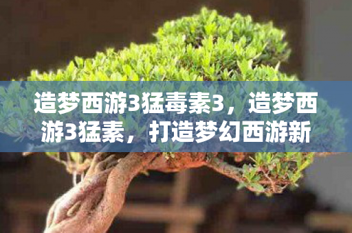 造梦西游3猛毒素3,造梦西游3猛素,打造梦幻西游新体验 造梦西游3猛毒素3,造梦西游3猛素,打造梦幻西游新体验