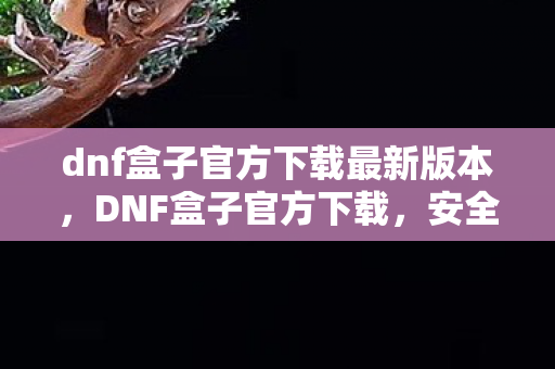 dnf盒子官方下载最新版本,DNF盒子官方下载,安全、便捷的游戏体验 dnf盒子官方下载最新版本,DNF盒子官方下载,安全、便捷的游戏体验